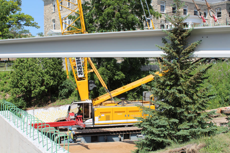 Close up of construction beams hit a tree